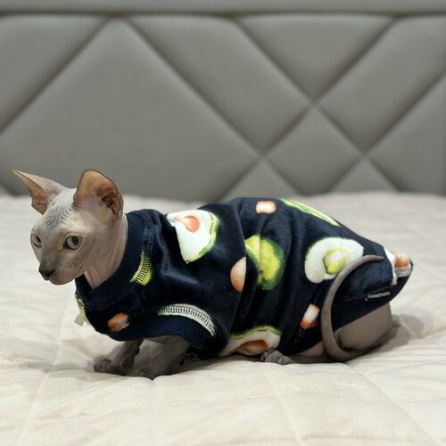 ���� ������ ����� ��� ����� ����������, �������, L, ������ ������