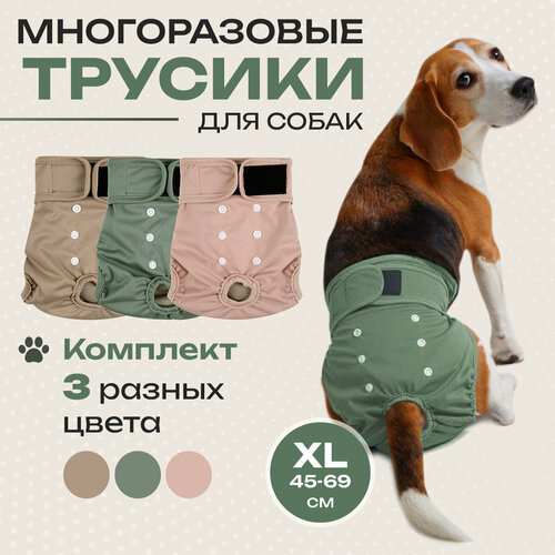 ���� ����� ��� ������ �� ����� ����� ������������, ���������� ��� ����� ������� ����� ����������� � ��������� 3 �� XL, ������ ������