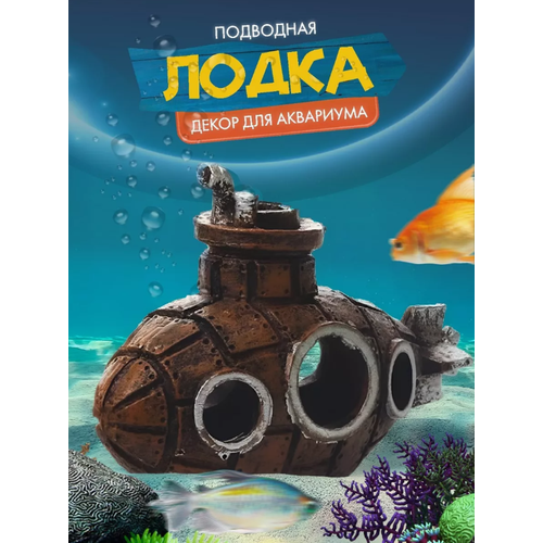 ���� ��������� ����� ���� ��� ���������, ����� ��� ���������, ���� ����������, ������ ������