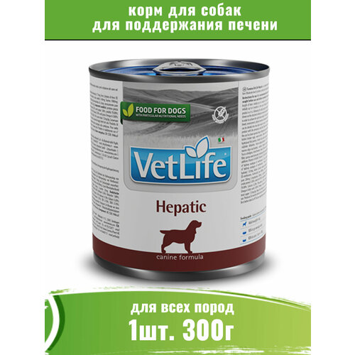  Farmina Vet Life Dog Hepatic 300         -     , -  