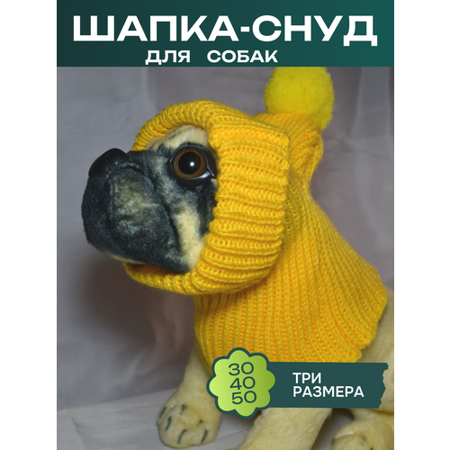 ���� �����-���� ��� ����� � ��������, ������ ������