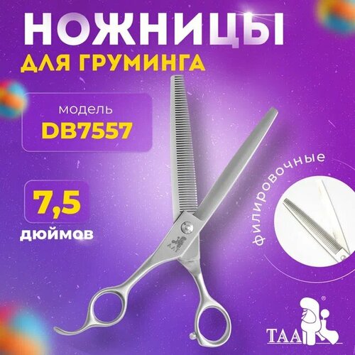  TAA     7.5 DB7557 ,       -     , -  