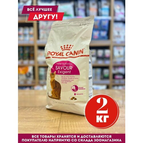    Royal Canin Savour    2    -     , -  