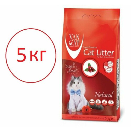  Van Cat   ,  ,  5   -     , -  