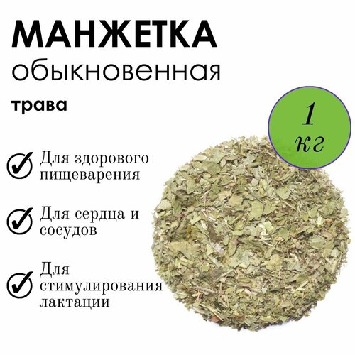 ���� �������� � ������������, ������� �������� �������� ������ � �������� ��������, ����� ������� ������� 1��, ������ ������