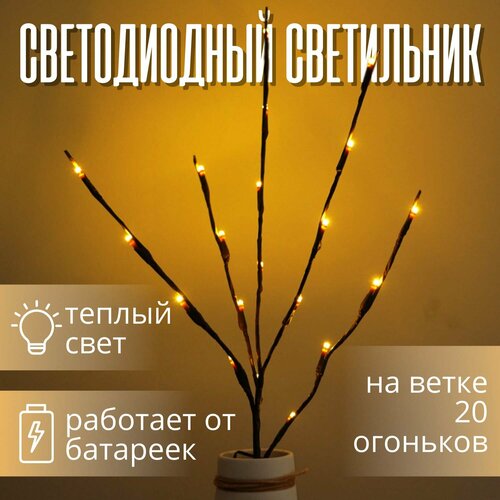 ���� ����������� ������������ ������� 20 ��������, ������ ������