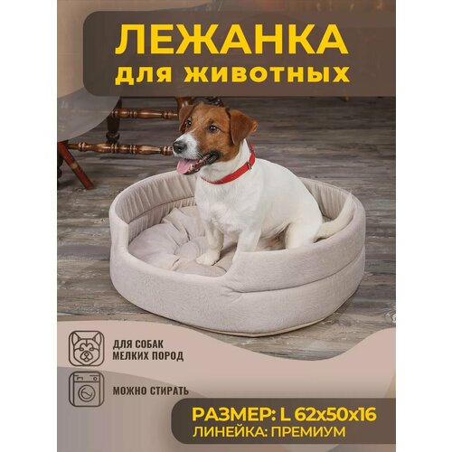 ���� ����� ��� ����� � ����� �������, �����, ������ ������