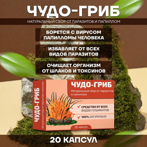 ���� ��������������� ���� ���� �� ��������� � �������� 1 �������, ������ ������