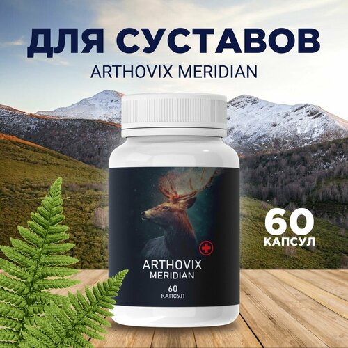      Arthovix Meridian   -     , -  