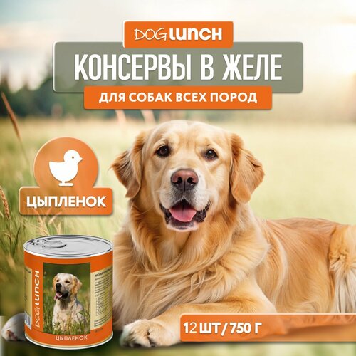      Dog Lunch  1 .  12 .  750    -     , -  