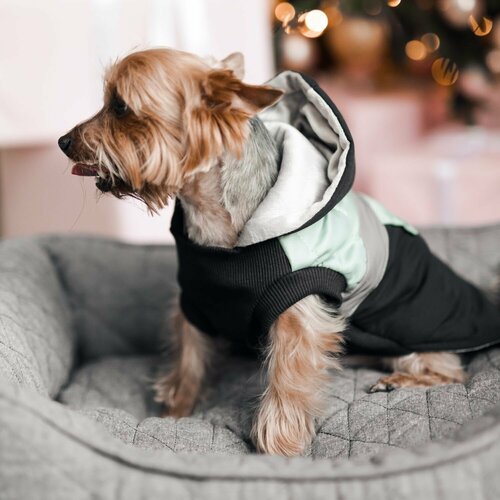 ���� ������/����� ��� �����, ������ ��� �����, 