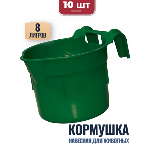 ���� 8� �������� ��������-������ �����������, 10 ��, ������ ������