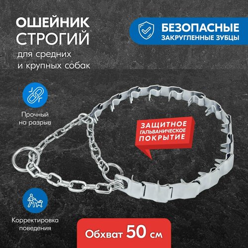 ���� ������� ������� �������� ��� ����� 