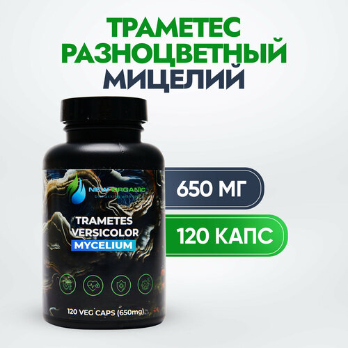 ���� �������� ������������, ������� 120 ������, ������ ������