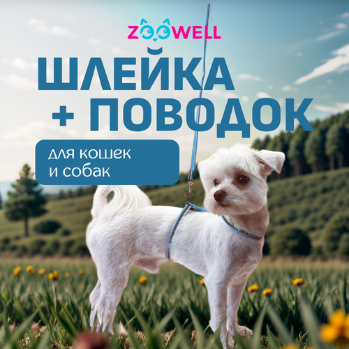      ZooWell   ,      -     , -  