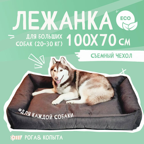 ���� ������� ��� ������ �� ������� ������ , ��� ������� � ������� �����, 100x70 ��, ������ ������