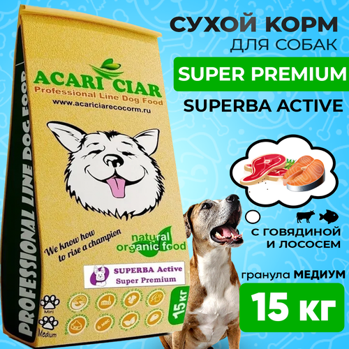      ACARI CIAR SUPERBA Active 15 MEDIUM    -     , -  