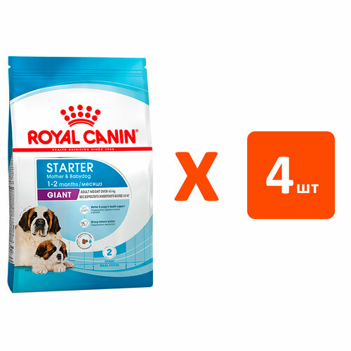  ROYAL CANIN GIANT STARTER      2 ,     (4   4 )   -     , -  