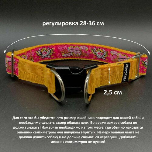 ���� ������� �� �������� � ������������ Ykka�ollar ��� ������, ������� 2,5 �� �� ������ ��� 28-36 ��, ������ ������