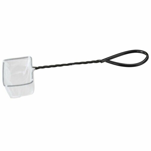 ���� AQUA DELLA EBI ����� ��� ���, �����, 20��, ������ ������