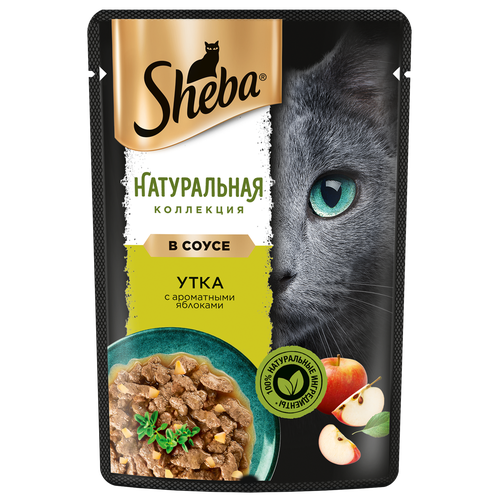      Sheba          28 .  75  (  )   -     , -  