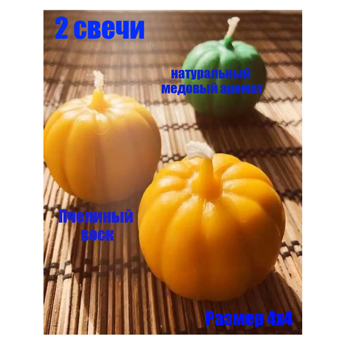 ���� ����� ����� ��������, ������ ������