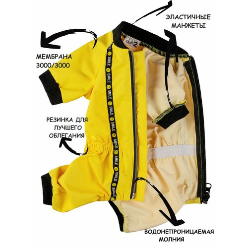 ���� �������� ��� ����� DOGMODA ������ (������) ������� �.4, 32��, ������ ������