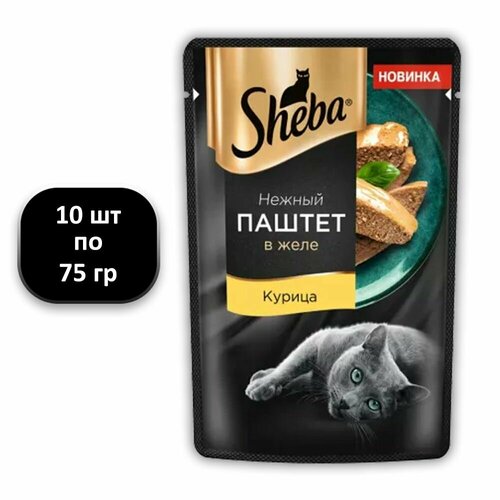  (10 .) 75 , Sheba,  ,  ,      -     , -  