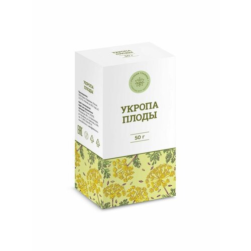 ���� ����� ������ ��� ��������� �����������, ������ ������