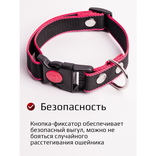 ���� ������� ��������� ��� ����� ������� ����� ������ c ���������� 25 �� (�����-�������) S, ������ ������