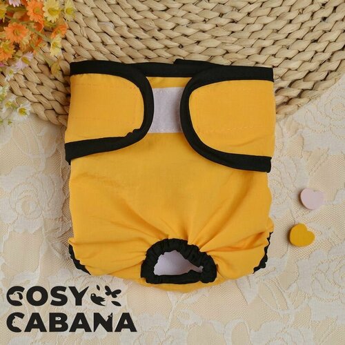 ���� ������������� �����, ��������� ��� ����� �� ����� �����, �������, ��������, ������������ / ������ XL, ������, ������ ������