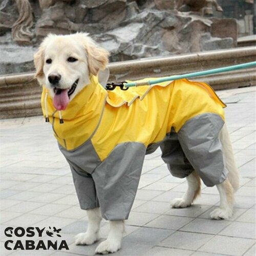 ���� �������� ���� ��� �����, ���������� ������� � ��������� �� ����� � ����� / ������ �14, ������, ������ ������