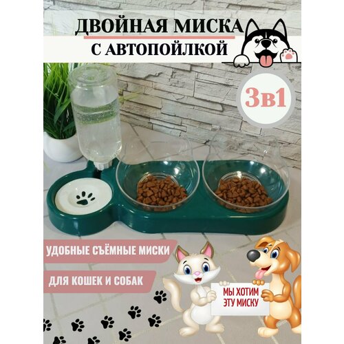 ���� ����� ��� �������� ������� � ����������� ��� ����� � �����, ������ ������