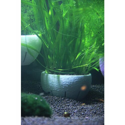 ���� ������ ��� ����������� �������� � ��������� � ������� 