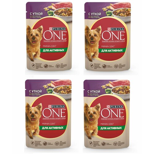    Purina ONE   ,    ,  ,       85  4    -     , -  