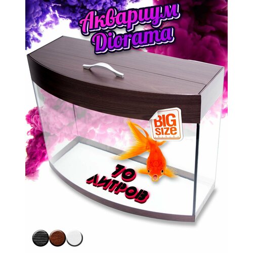     Diarama 70L Choco Edition   -     , -  