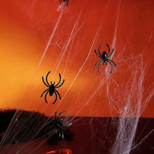 ���� ��������� ������� � ������������, ������ ������