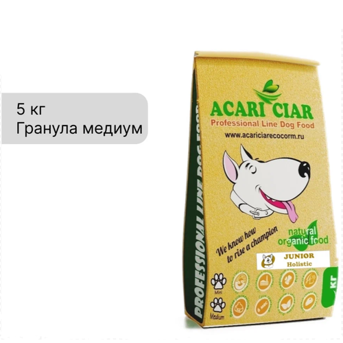      Acari Ciar JUNIOR HOLISTIC 5  ( )   -     , -  