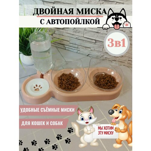 ���� ����� ��� �������� ������� � ����������� (����: ���������-�������), ������ ������