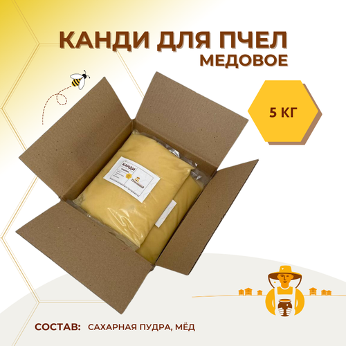 ���� ����� ������� 5 ��, ������ ������