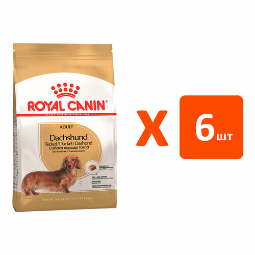  ROYAL CANIN DACHSHUND ADULT     (1,5   6 )   -     , -  