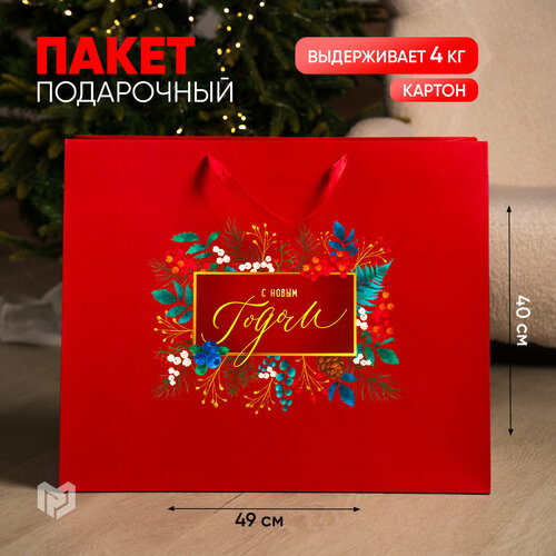 ���� ����� ���������� ������ ������� ������� ���������� XL, 49x40x19 ��, �������, ������ ������