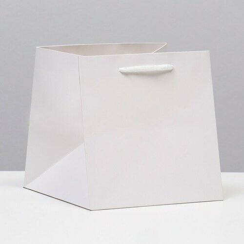 ���� ����� ��� ����, �����, 20 � 20 � 20 �� 10 ��, ������ ������