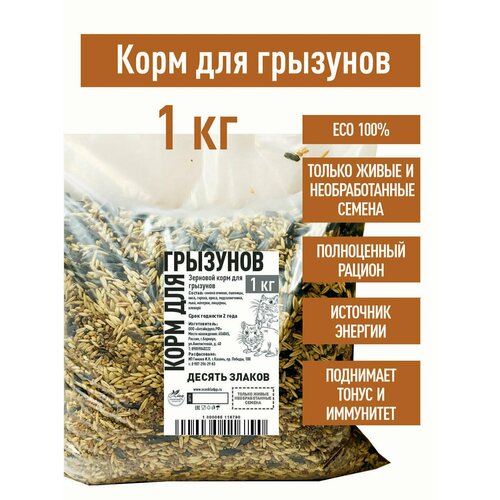 ���� ���� ��� �������� 1 �� ��������, ������ ������