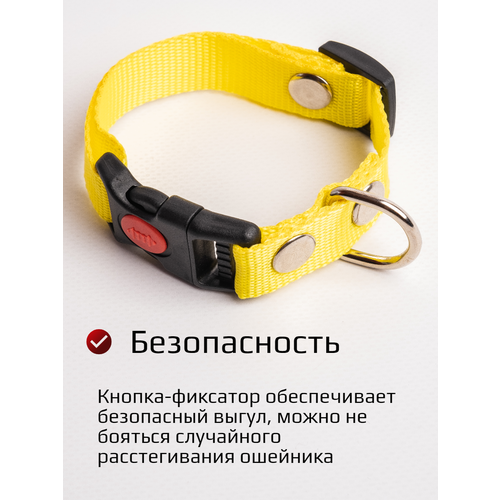 ���� ������� ��������� ��� ����� ������� ����� ������ c ���������� 20 �� (������) S, ������ ������