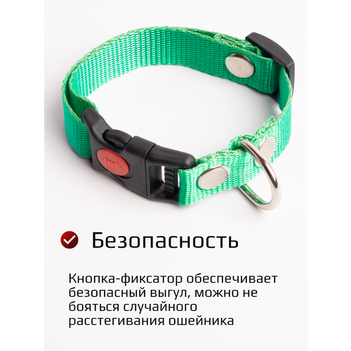 ���� ������� ��������� ��� ����� ������� ����� ������ c ���������� 20 �� (���������) �, ������ ������