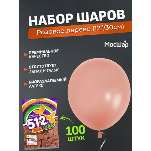 ���� ����� ��������� ������� 