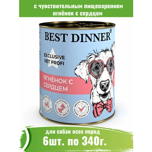  Best Dinner 6  340 Vet Profi Gastro Intestinal Exclusive         -     , -  