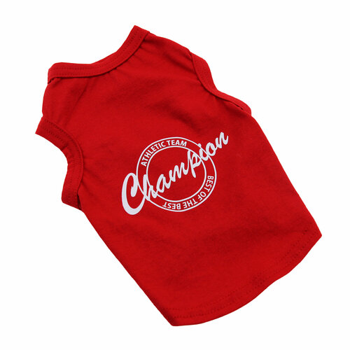 ���� ���������� ����� ��� ����� ������ �����, ������ ������