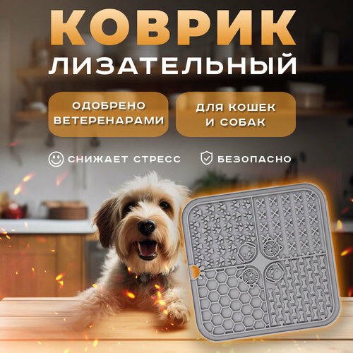 ���� ����������� ������ ����������� ��� ����� � ����� / ����� ��� ���������� ��������� � �������� �o��� � ������� �����, ����� ����, ������ ������